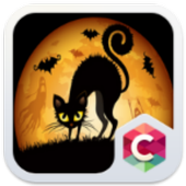 Halloween Theme : Pumpkin and Black Cat Wallpaper icon