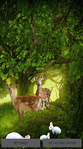 Forest Deer Live Wallpaper screenshot 5
