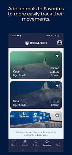 OCEARCH Shark Tracker screenshot 5