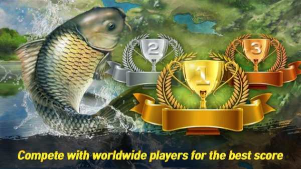 BIG FISH KING screenshot 3