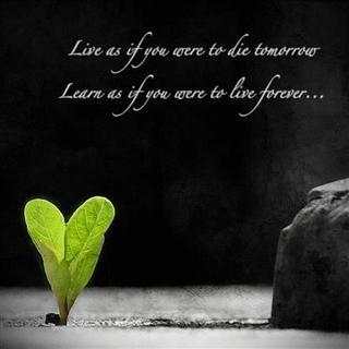 Cute Life Quotes 2020( PART 1) FREE screenshot 18