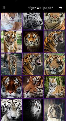 tiger wallpaper screenshot 3