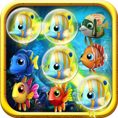 Fish Crush icon