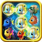 Fish Crush 1.0.6