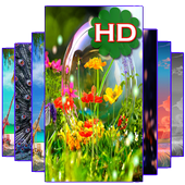 Auto BG Wallpaper Changer 2017 icon