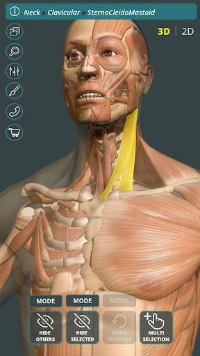 Visual Anatomy 3D | Human screenshot 1