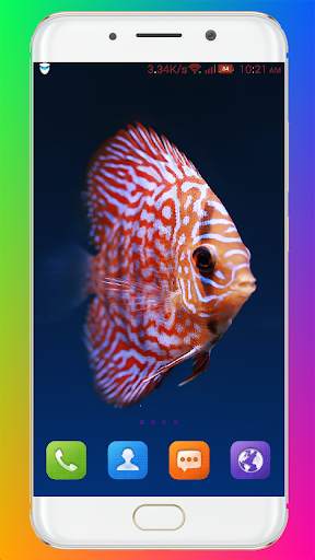 Aquarium Wallpaper HD screenshot 15