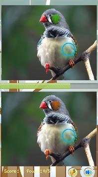Find Difference Bird Games screenshot 2