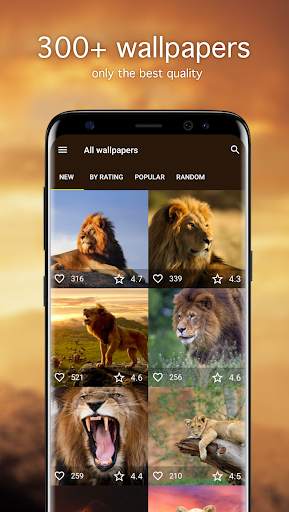 Lion Wallpapers 4K screenshot 1