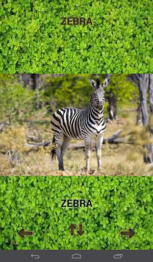 ZOO sounds quiz screenshot 10