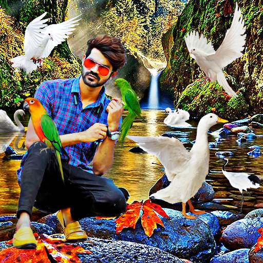 Bird photo editor birds photo frame 1.0.0