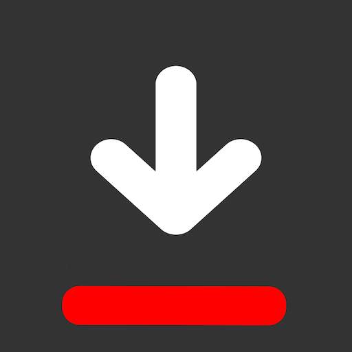 Video Downloader 1.01