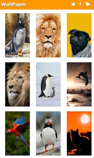 WallPapers from Micromax screenshot 1