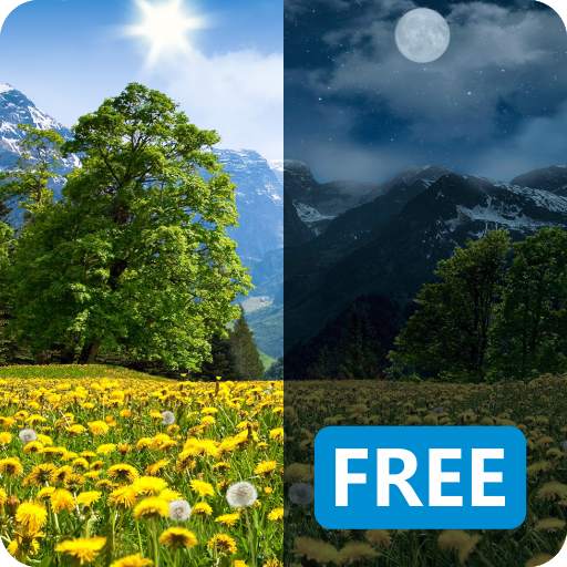Summer Dandelion Live Wallpaper FREE 1.20