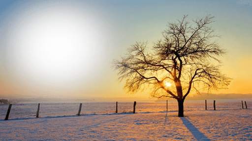 Beautiful Sunset Photo Frame 4 تصوير الشاشة