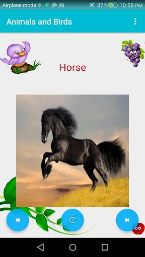 Name of Animals and Birds screenshot 3