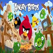 Video Of Angry Birds