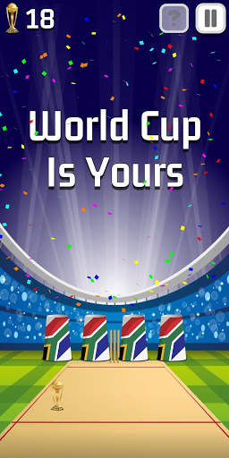 Find The World Cup screenshot 4