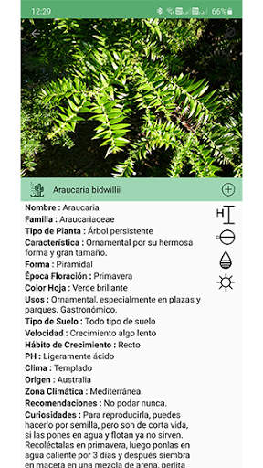 Plantsss screenshot 4