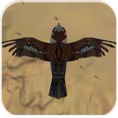Terrific Bird Hunter 2019 0.1.0