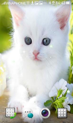 Cat Live Wallpaper HD 4K screenshot 5