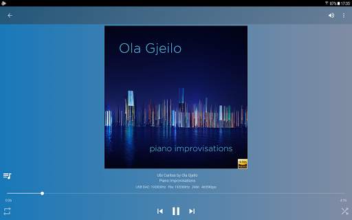 USB Audio Player PRO screenshot 17