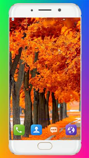 Fall Wallpaper HD screenshot 9