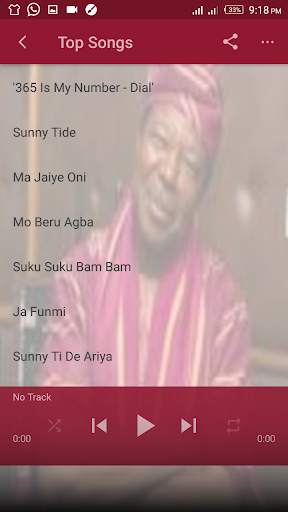 King Sunny Ade screenshot 4