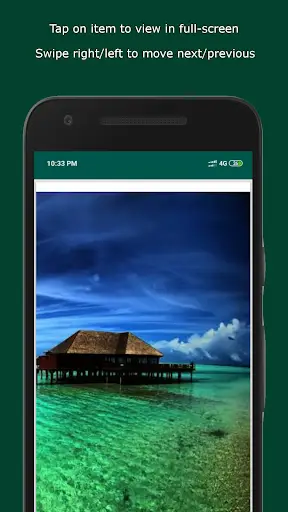 Status Downloader screenshot 4