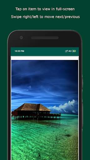 Status Downloader screenshot 4