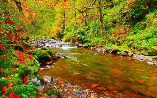 Nature Live Wallpapers screenshot 6