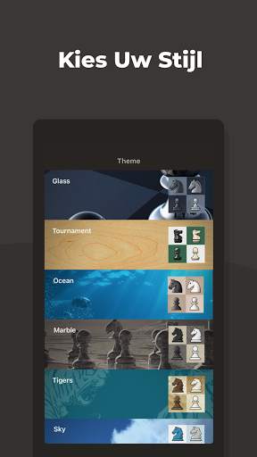 Schaken · Speel en Leer screenshot 8