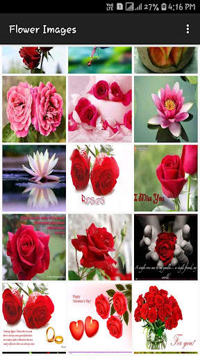 Flower Images screenshot 3