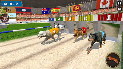 Real Dog Racing Tournament screenshot 11