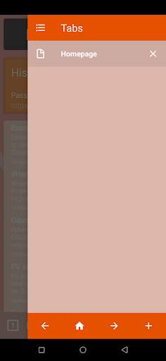 Spider Web Browser screenshot 2