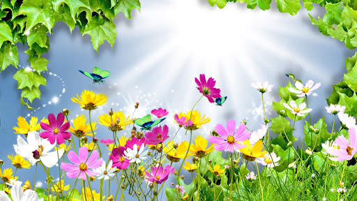 Spring Wallpapers : backgrounds hd screenshot 11
