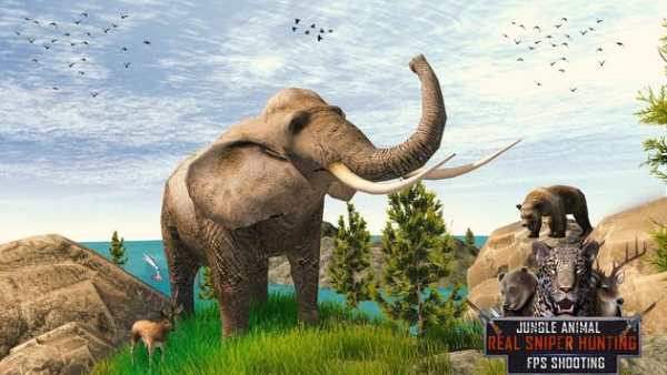 Jungle Animals Real Sniper Hunting: FPS Shooting screenshot 11