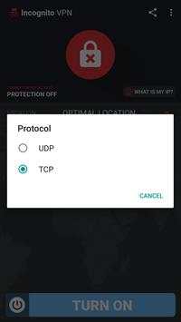 VPN Incognito screenshot 5