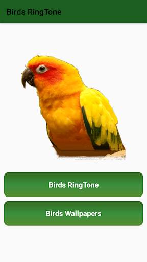 Birds Ringtone स्क्रीनशॉट 1