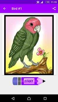 How to Draw Birds screenshot 4