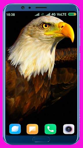 Eagle Wallpaper Best 4K screenshot 12