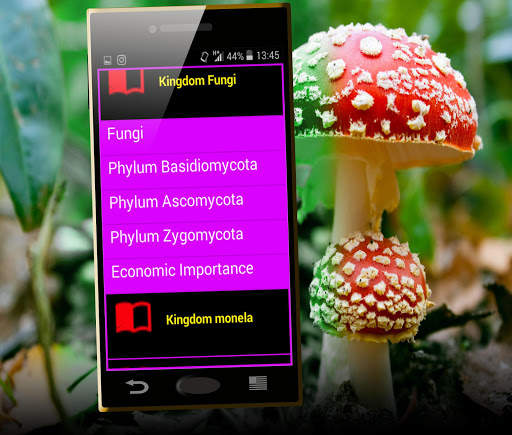 Biological classification screenshot 4
