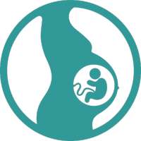 Pregnancy Wheel icon