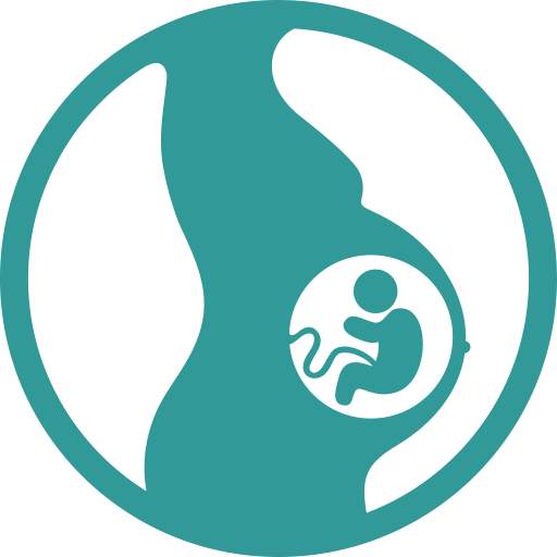 Pregnancy Wheel 1.6
