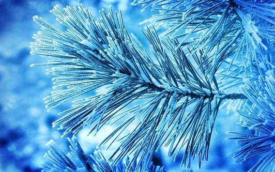 Winter frozen glass screenshot 6