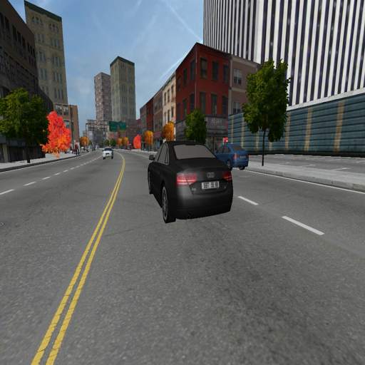 Duty Driver City LITE 1.1
