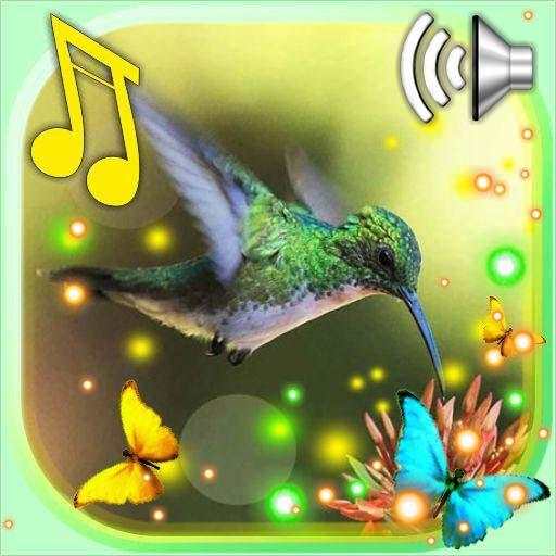 Colibri Free LWP 1.11