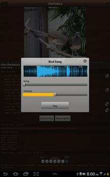 Bird Sounds, Calls, Songs & Ringtones screenshot 15
