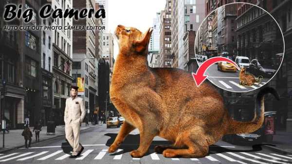 Big Camera - Auto Cut Out - Photo Cut Paste screenshot 1
