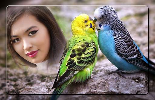 Love Birds Photo Editor screenshot 4